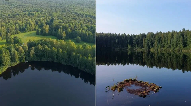 свободный доступ интернет