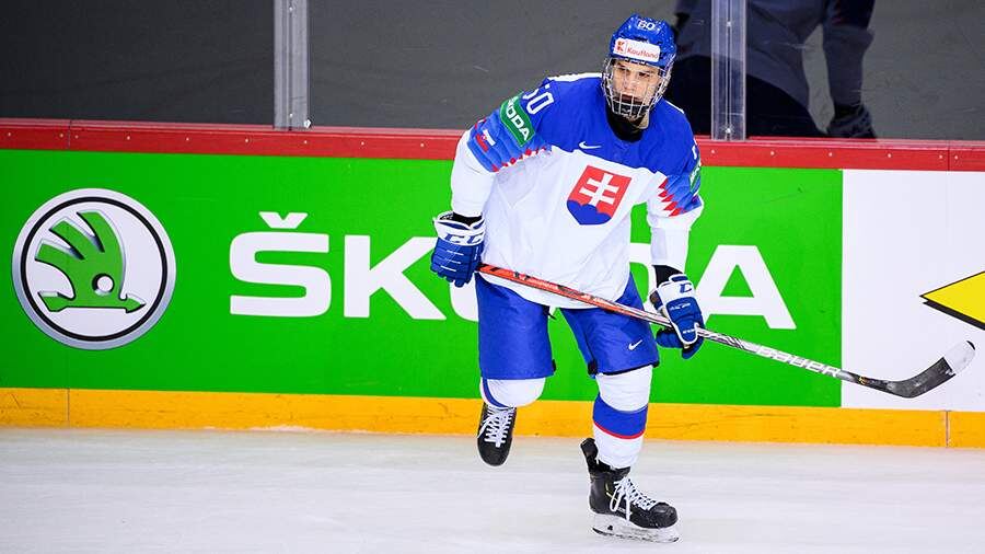    Фото: Global Look Press/Simon HastegÃ…Rd/Keystone Press Agency