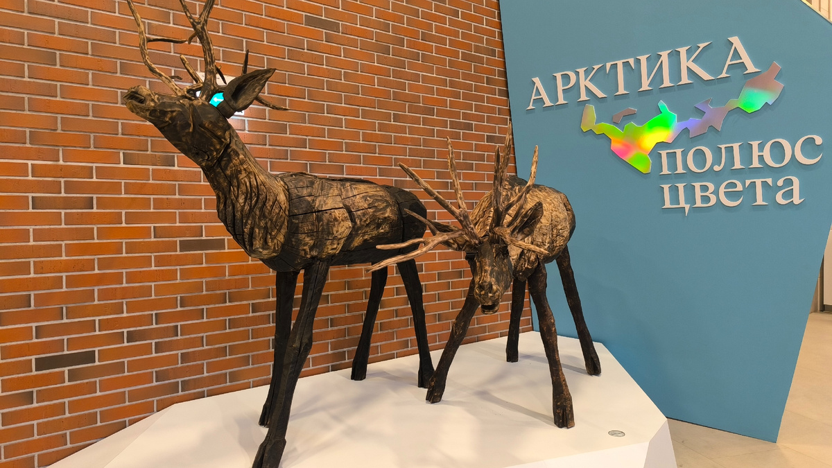 Выставка "Арктика. Полюс цвета" В Третьяковке