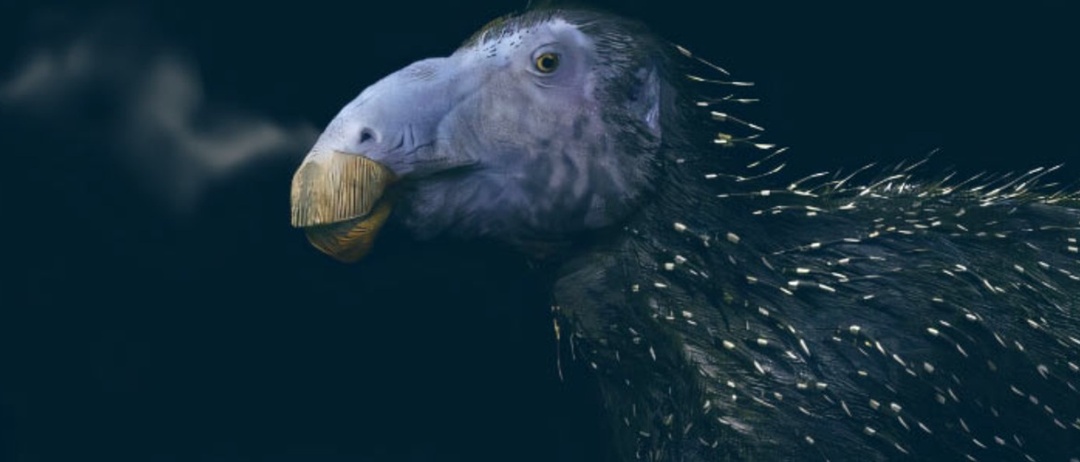 Ученые обнаружили динозавра с колючками, как у ежа