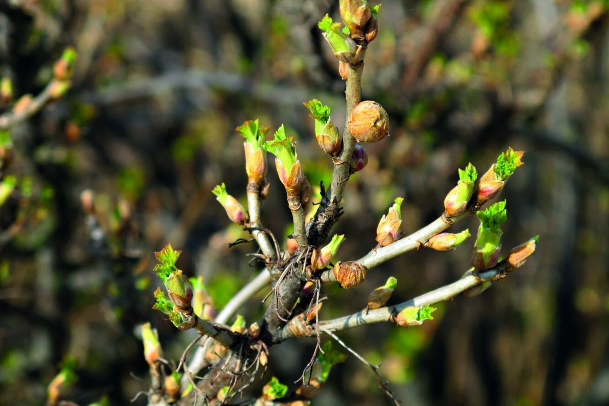 Источник фото: growtool.ru