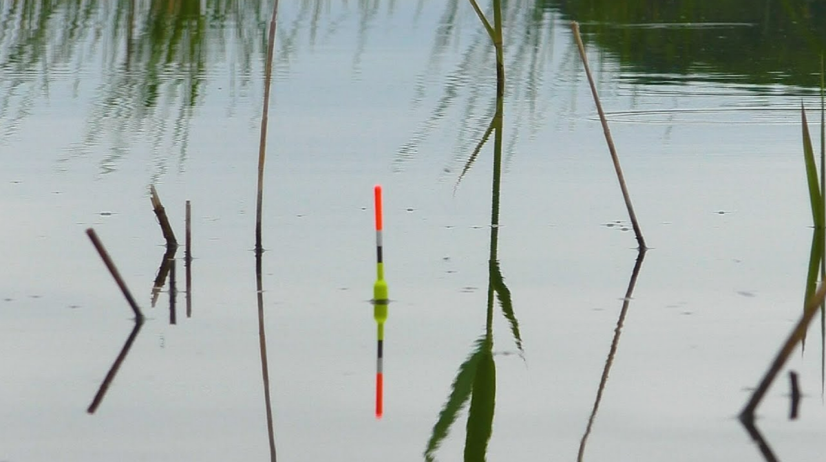 Ждем поклевку