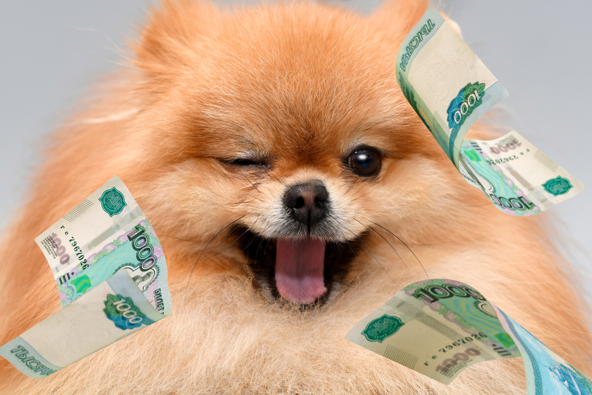 Налог на выгул собак 