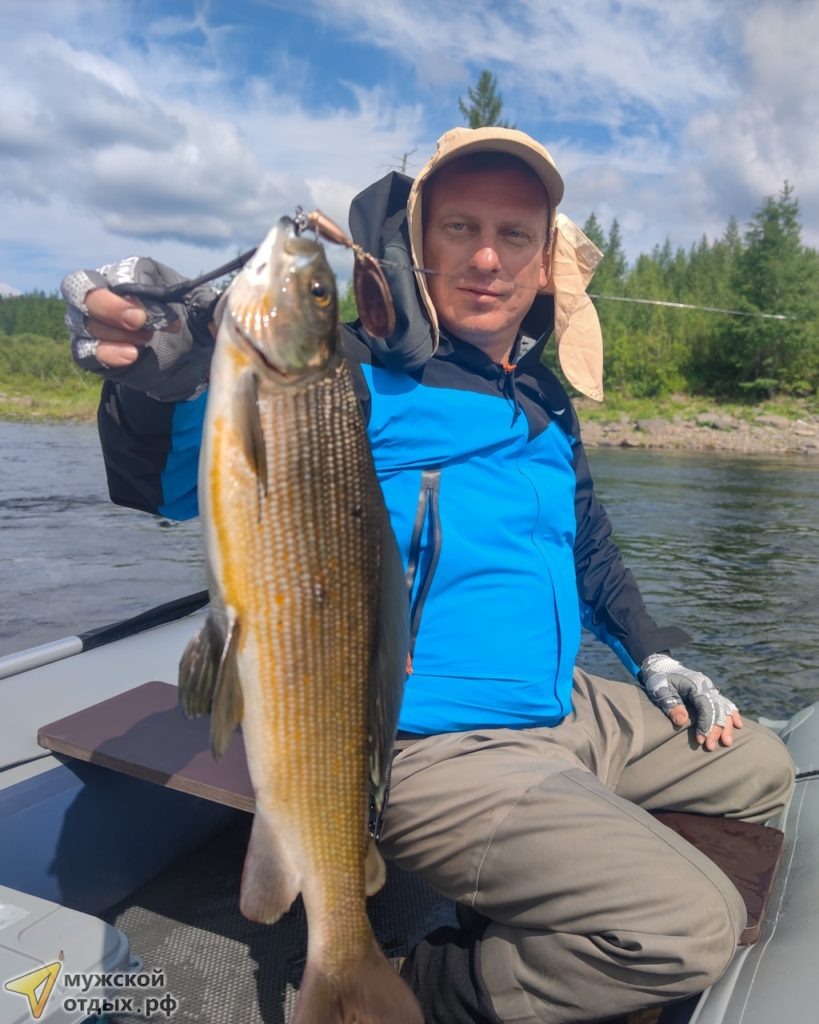 Сибирский хариус