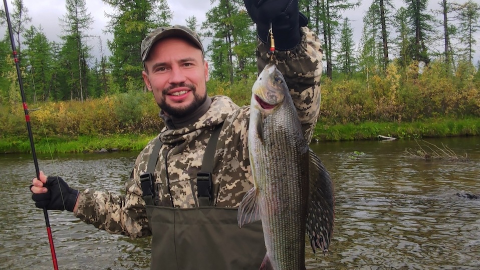 Хариус: описание, виды, образ жизни, среда обитания, размножение и ловля