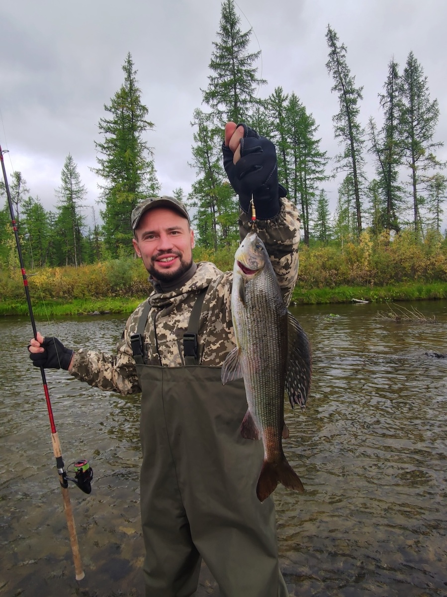 Хариус: описание, виды, образ жизни, среда обитания, размножение и ловля