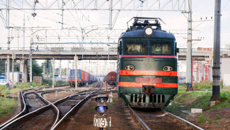    За что Чарльз Дарвин полюбил бы Россию? Фото: Eugene Sergeev, Shutterstock.com