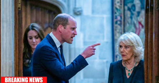 Уильям злиться после того, как Камилла потребовала, чтобы Кэтрин вернула 100-каратное ожерелье Дианы