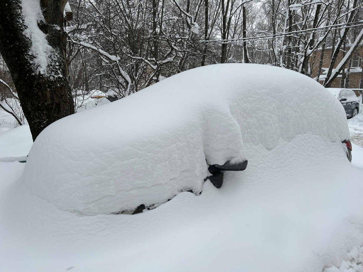 Московские сугробы 2026. Фото автора