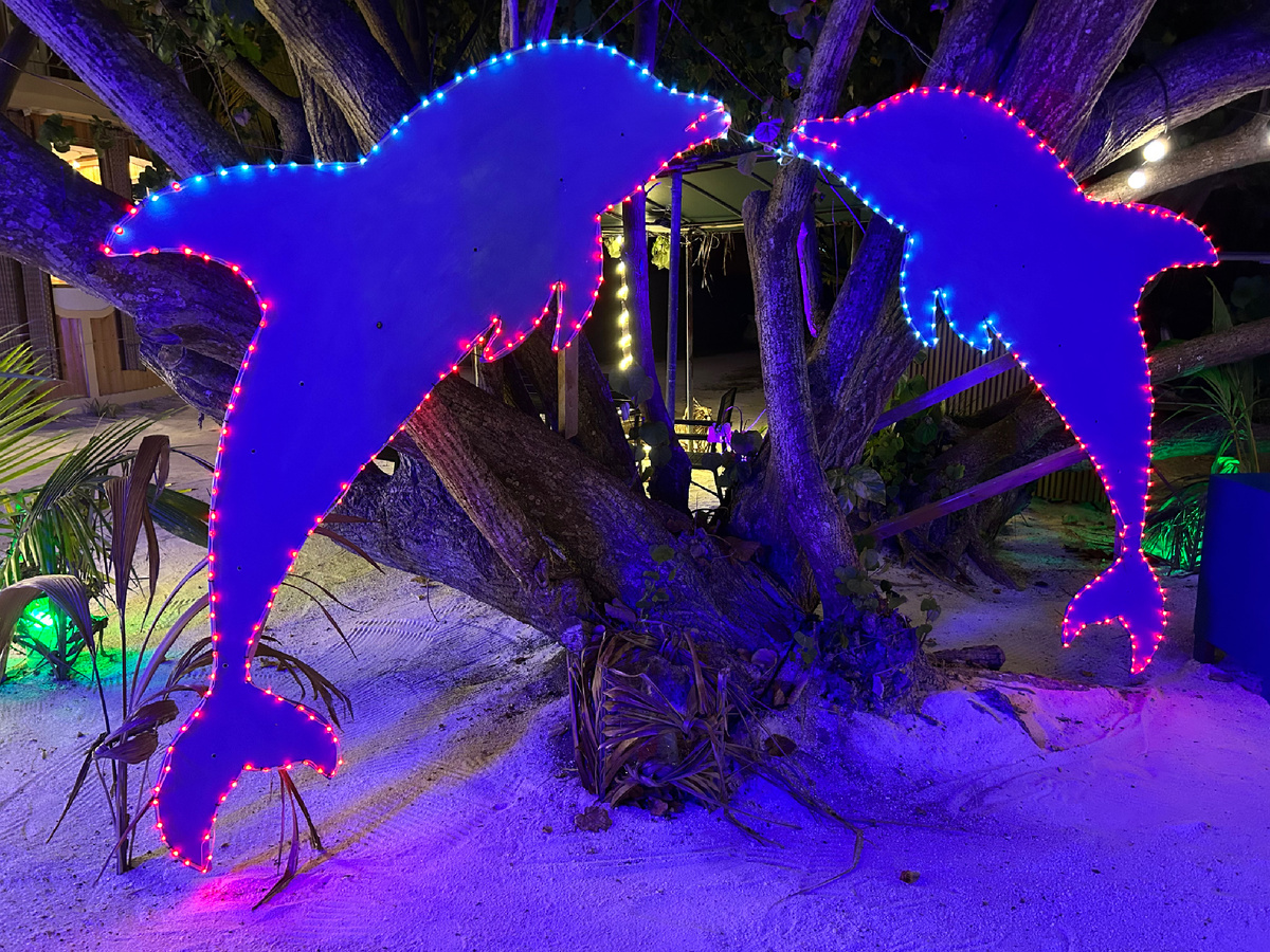 У гестхауса Ocean Lilly Inn. Фото автора 