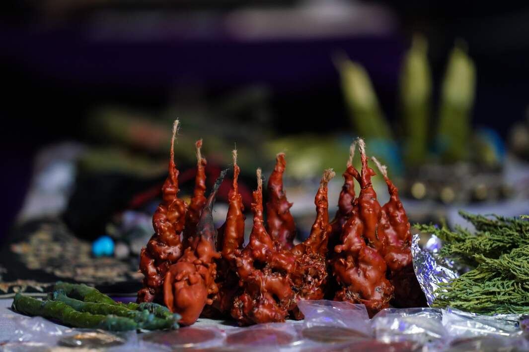 Фото: ИЗВЕСТИЯ/Анна Селина