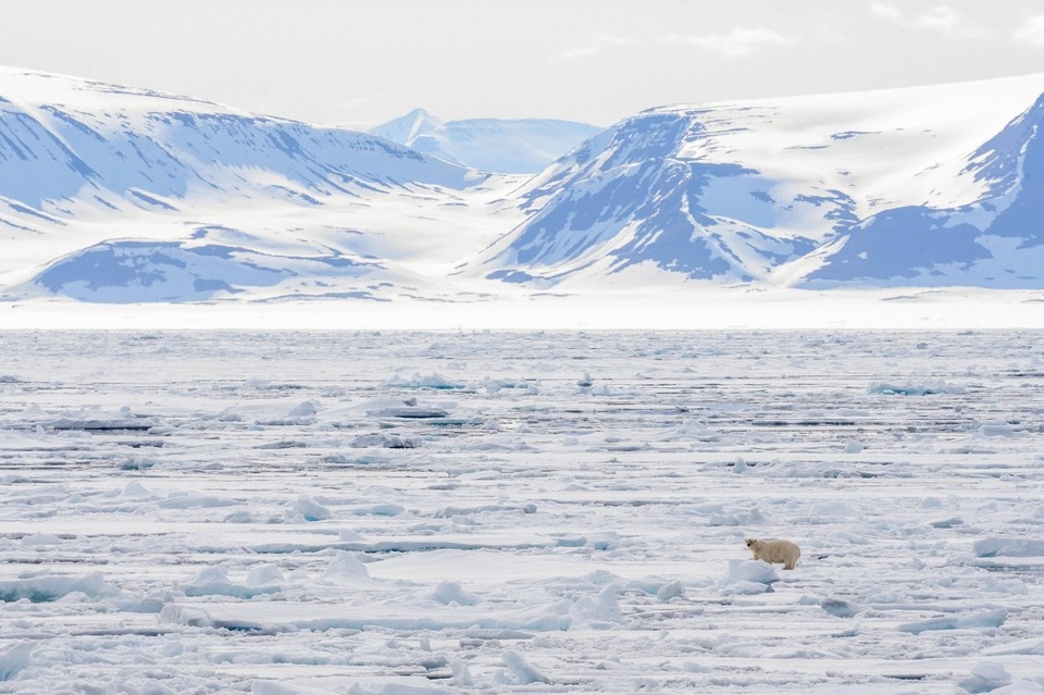    Новая миссия НАТО увеличивает риски провокаций в Арктике GLOBAL LOOK PRESS