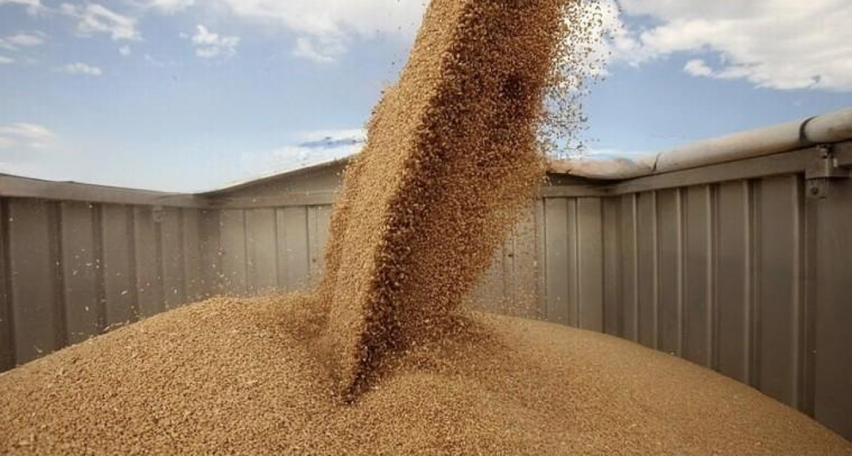    Фото с сайта grozny.tv