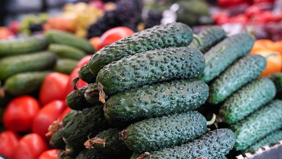    Фото: ИЗВЕСТИЯ/Анна Селина