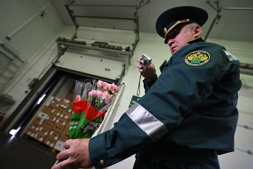    В Приморье задержали 1600 зараженных опасным трипсом цветов из Китая Олег УКЛАДОВ