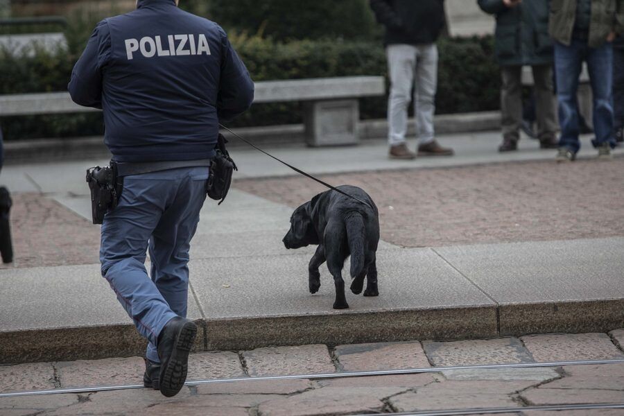     / Источник: © Francesco Enriquez/Zuma/TASS