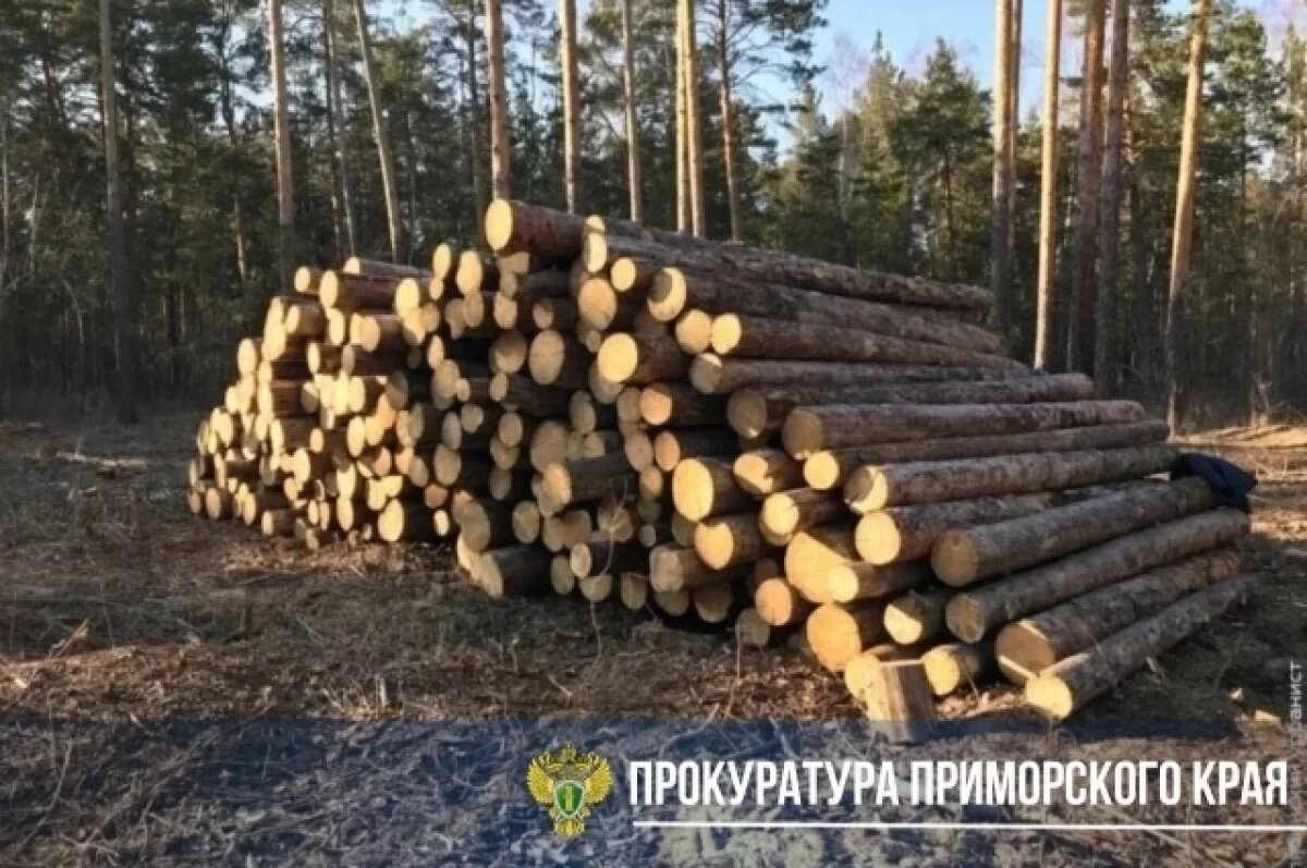    Директора фирмы из Приморья ждёт суд за контрабанду леса на 33 млн руб.