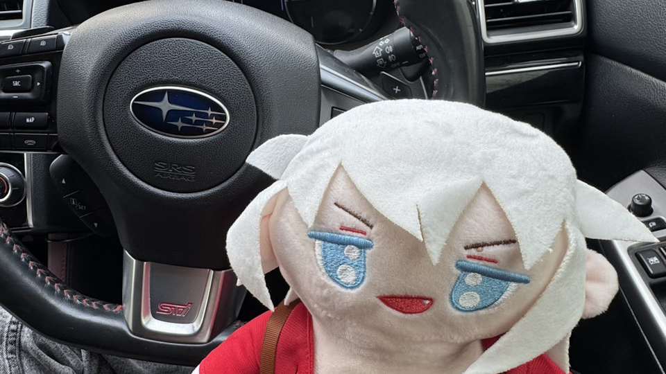 Стилизованные аксессуары в салон "Dante"