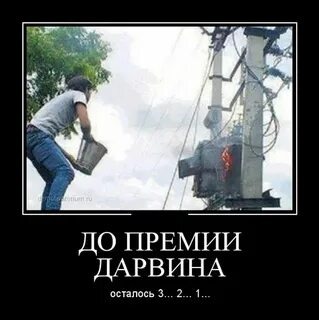 Яндекс Открытый источник 