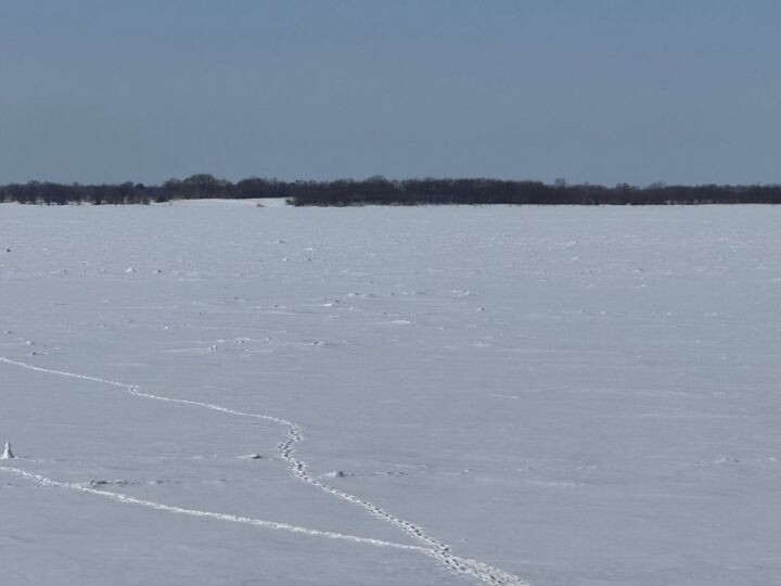    Фото:Ольга Дмитриева