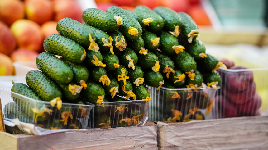    Фото: ИЗВЕСТИЯ/Сергей Лантюхов; 5-tv.ru