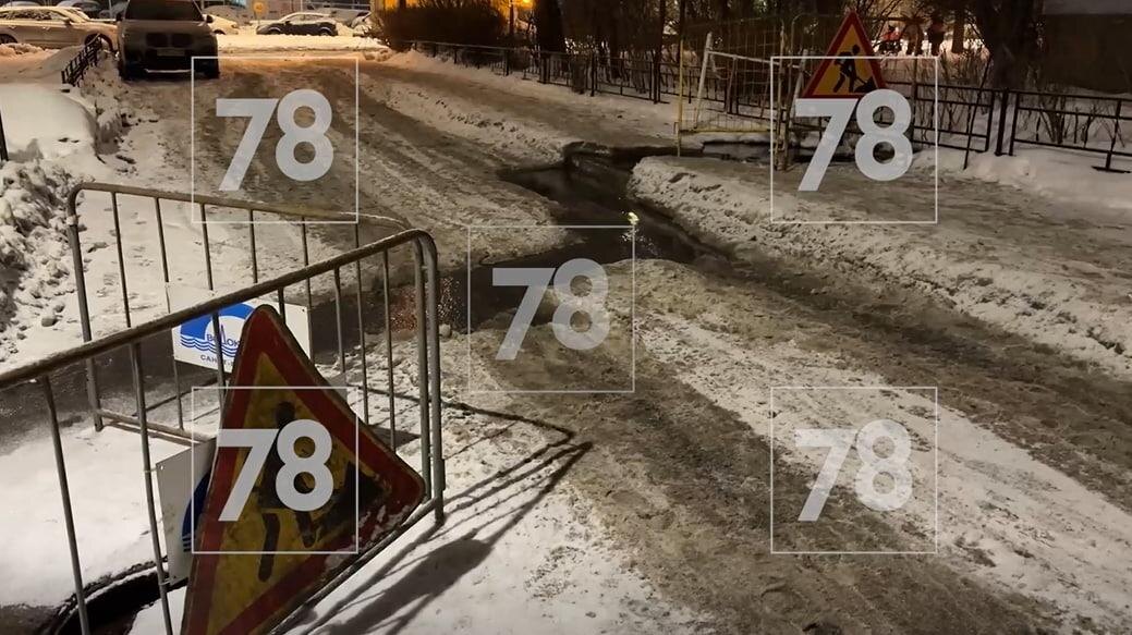    Фото: 78.ru