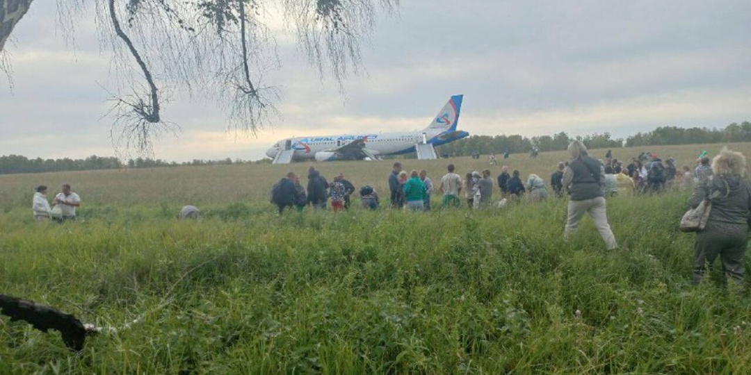 Пассажиры самолёта, севшего в поле под Новосибирском, обратились к президенту РФ