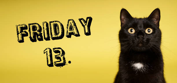 Изображение взято из сети Интернет 