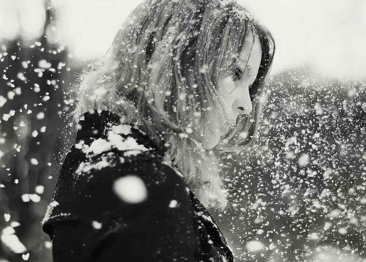 Фото из открытого источника Яндекс 