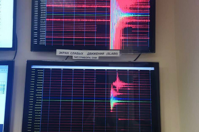 Камчатский филиал ФИЦ ЕГС РАН