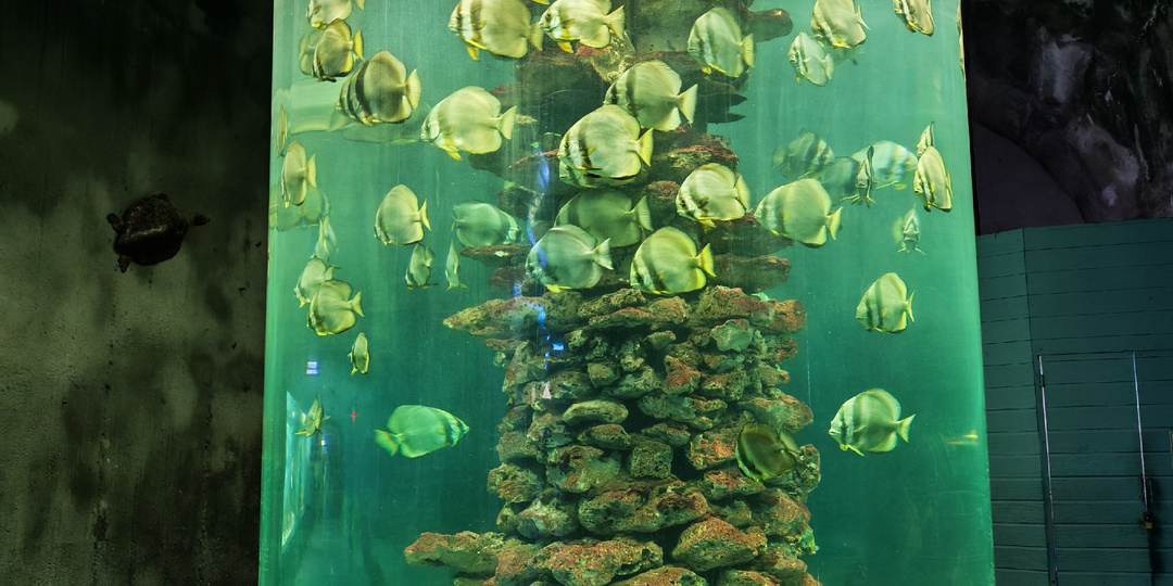 Все хорошо не бывает