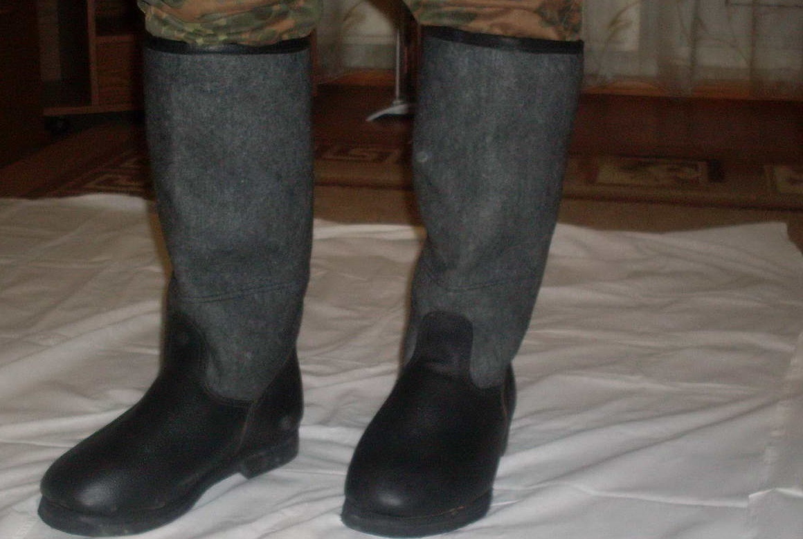 Сапоги фетровые. Фото из сети.