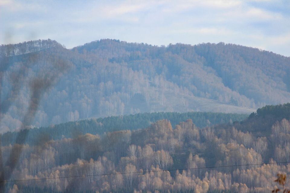    Вид на горы Белокурихи. Источник: Евгения Кочеткова/"Толк"