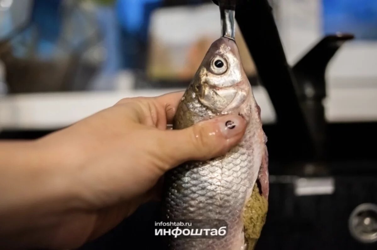    Через астраханскую границу пытались провезти просроченную воблу