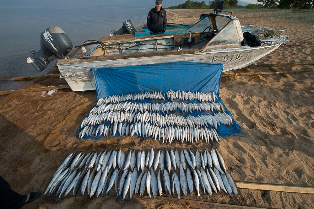 Фото: Игорь Подгорный