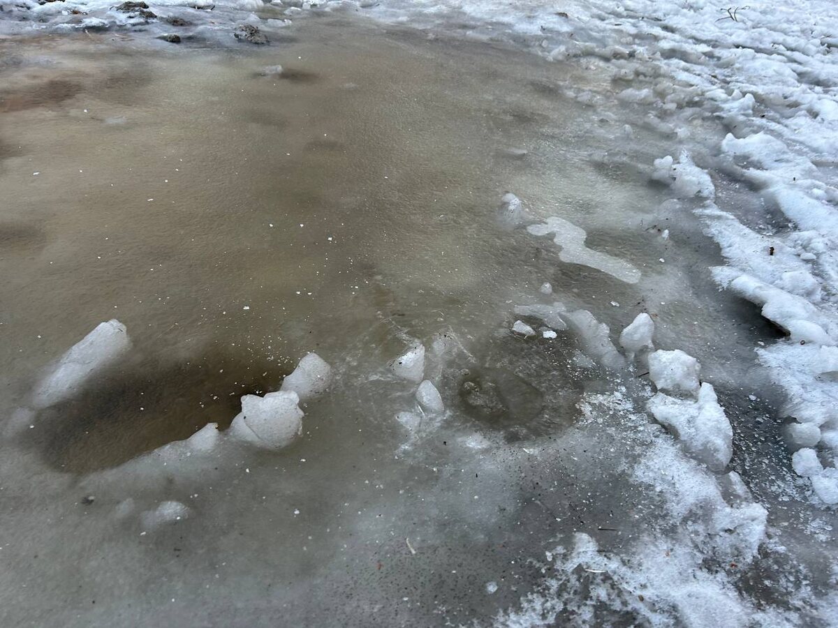    Фото: sibnovosti.ru