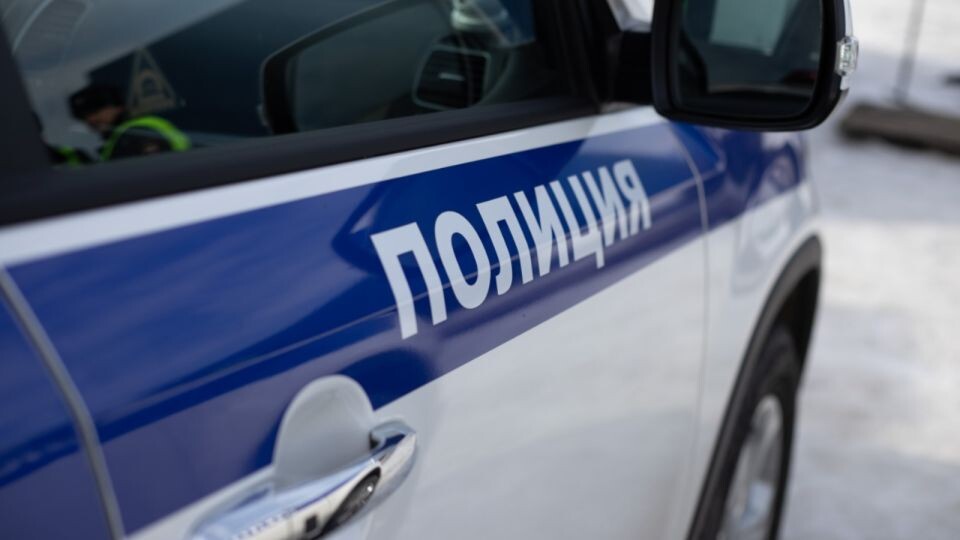    Полиция. Источник: Анна Меньшикова, "Толк"