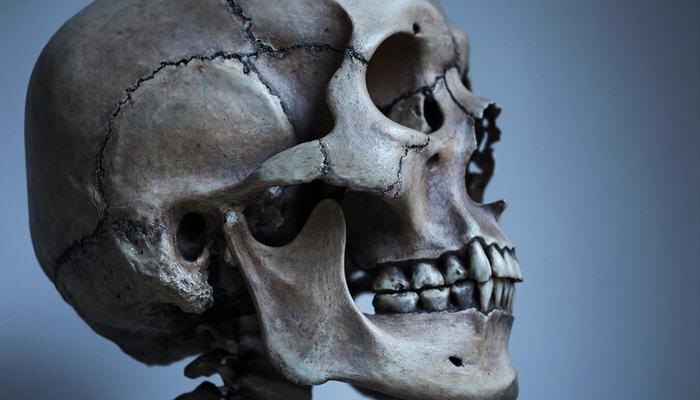 Обложка © Giga Chat