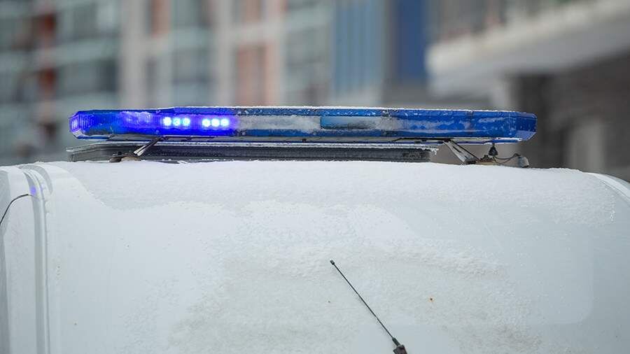    Фото: ИЗВЕСТИЯ/Телеканал «78»