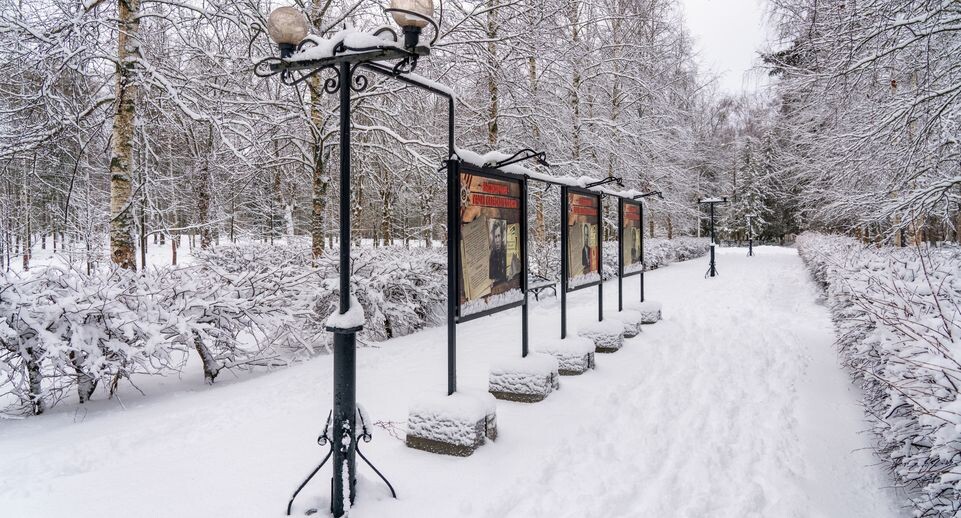    Аллея в Высоковском городском парке культуры и отдыха «Березовый» в округе Клин зимой / Медиасток.рф