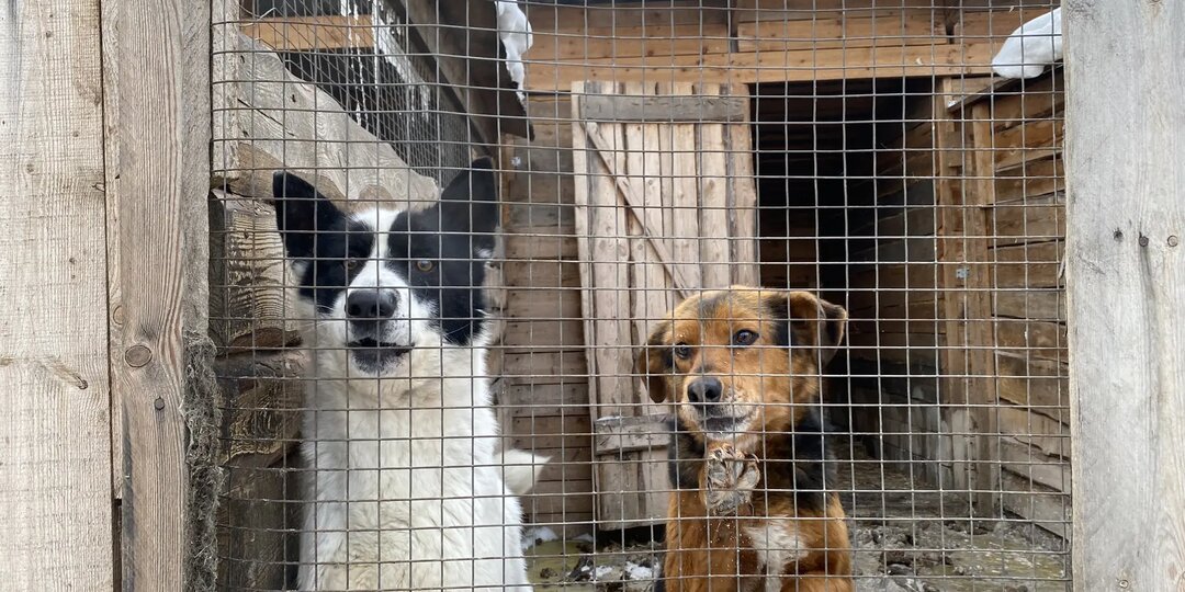 Снова о зарплатушке. День Добра.