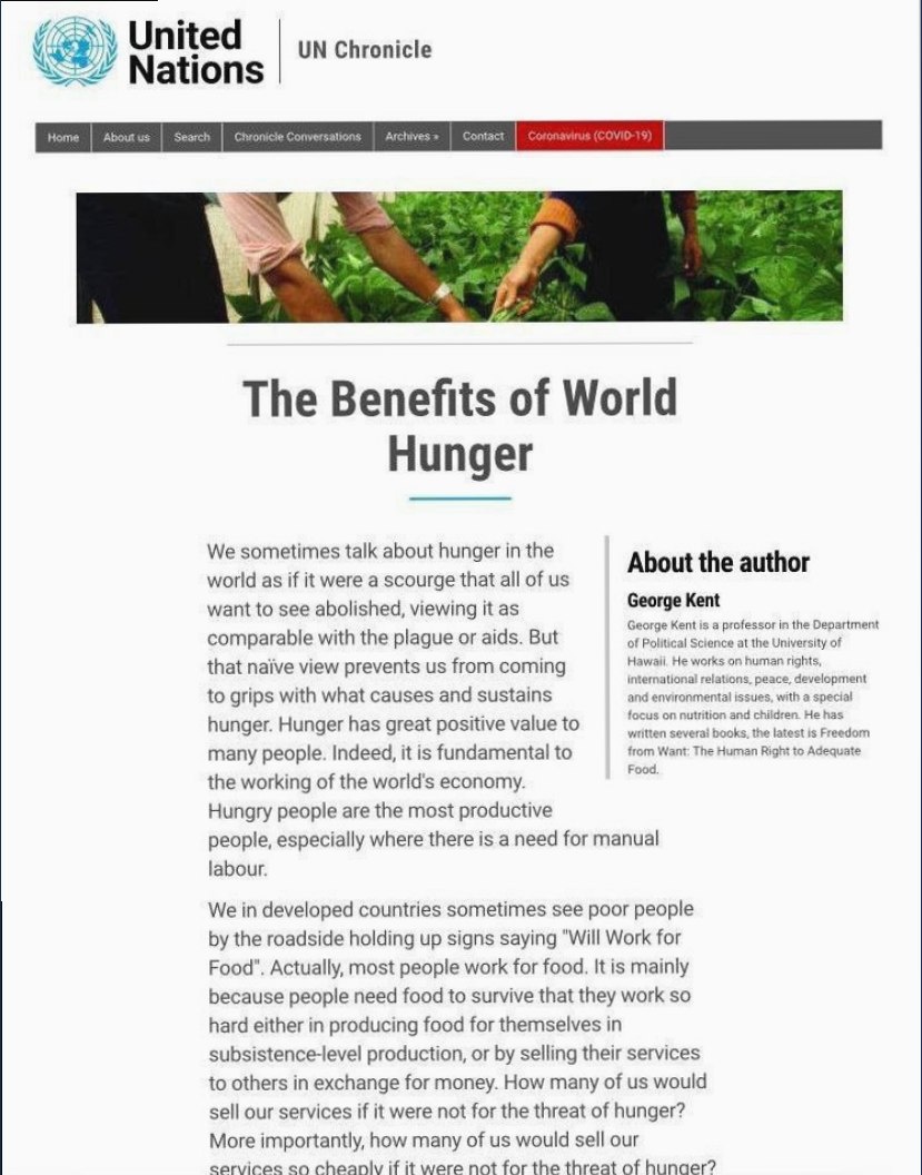 Они правда это написали