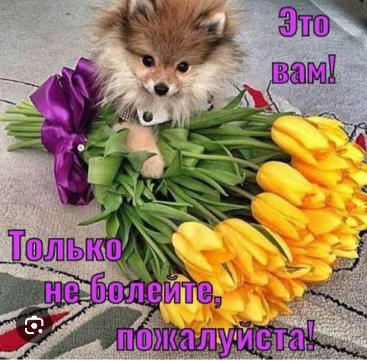 Источник инет