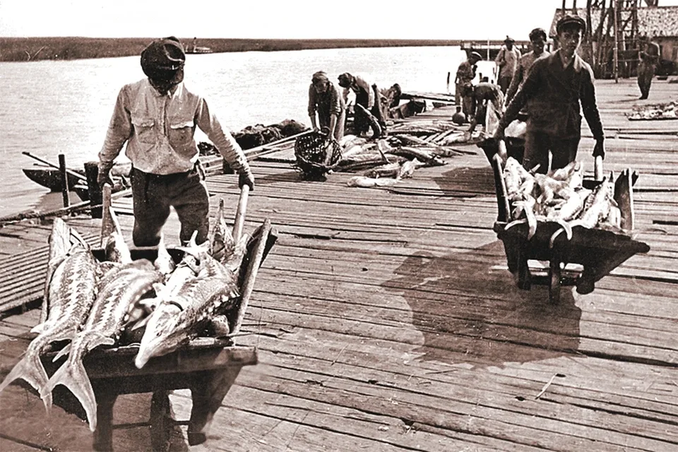 А это уже 1950-е, Астрахань