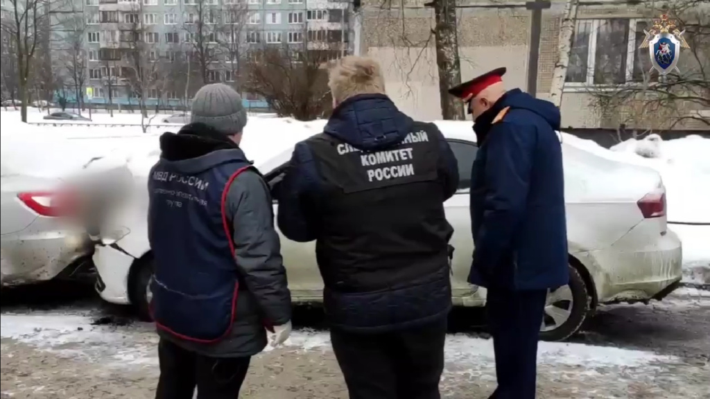    Фото: кадр видео ГСУ СК России по Петербургу