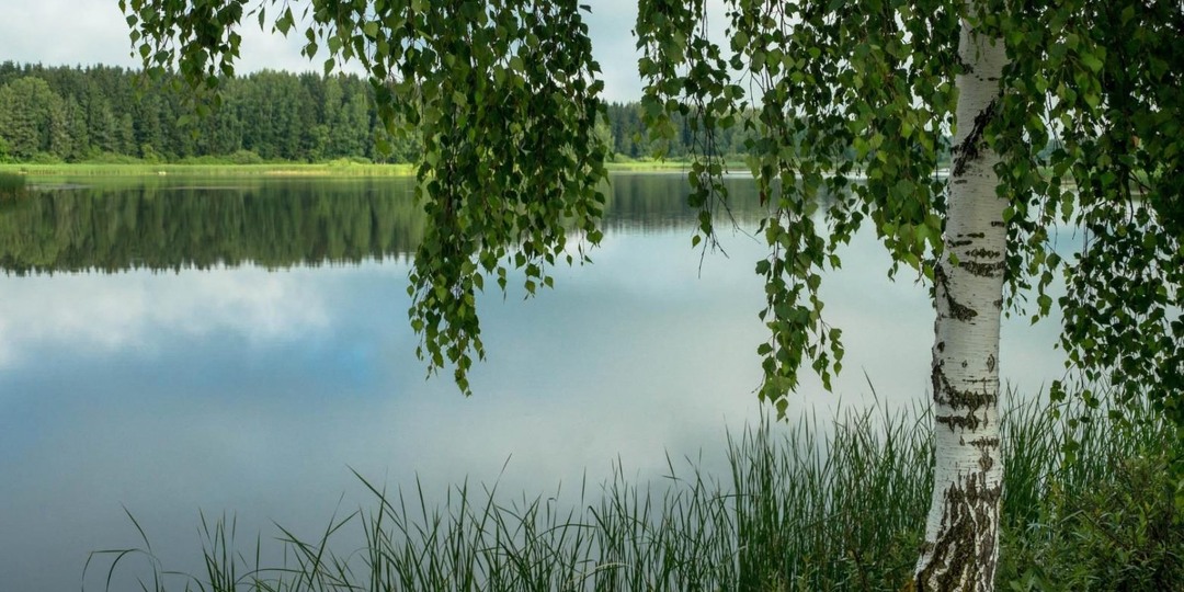 РЕКА УНЕСЛА НЕ ЕГО...