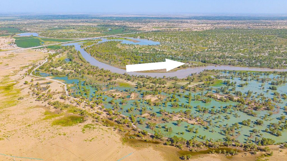    КИТАЙ НАКОРМИЛА ТАЙГИ КОРОЛЁВСТВОМ ДЕРЕВЬЕВ И ПРЕВРАТИЛА ПУСТЫНЮ В МАГНИТ ТОРФЯНЫХ ГАЗОВ