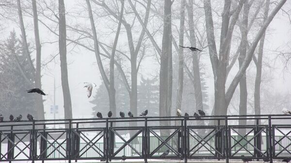    © Sputnik / Максим Богданович