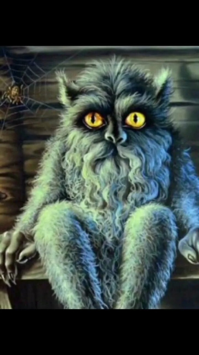 Фото взято из открытого доступа.