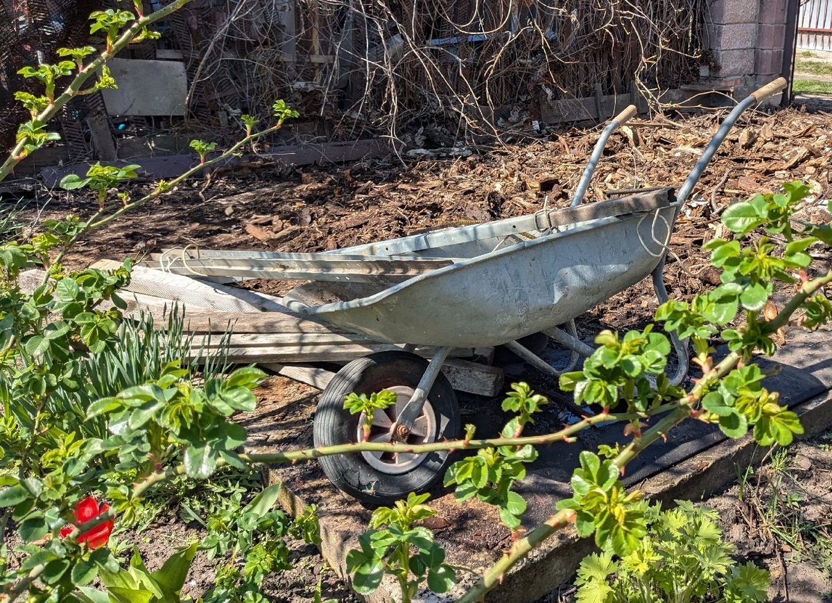 Телега кривая, но потихоньку всё равно едет